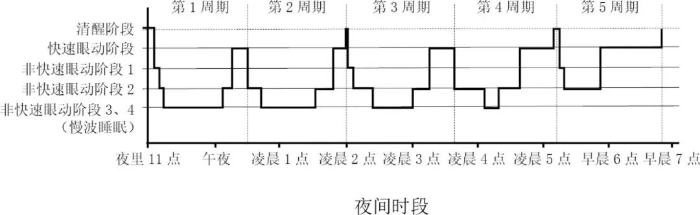 我们为什么要睡觉.jpeg