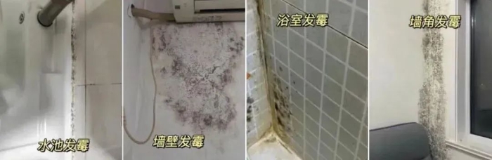 警惕！女子换季整理衣柜后肺部 “长霉”，这些藏在衣柜里的致命细节，你中招了吗？