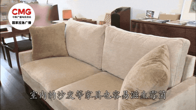 警惕！女子换季整理衣柜后肺部 “长霉”，这些藏在衣柜里的致命细节，你中招了吗？