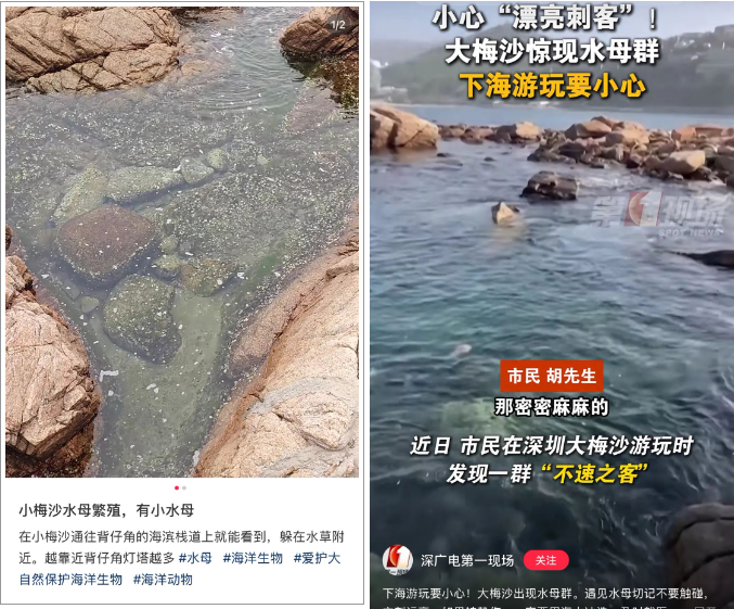 立即远离！外出遇到这种“塑料袋”别碰，有毒！