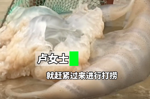 立即远离！外出遇到这种“塑料袋”别碰，有毒！