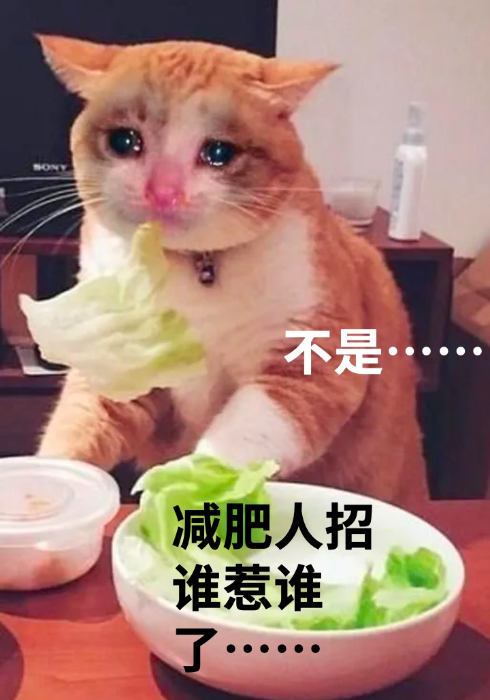 每天少看 1 小时手机，一周之后你会来谢我的！
