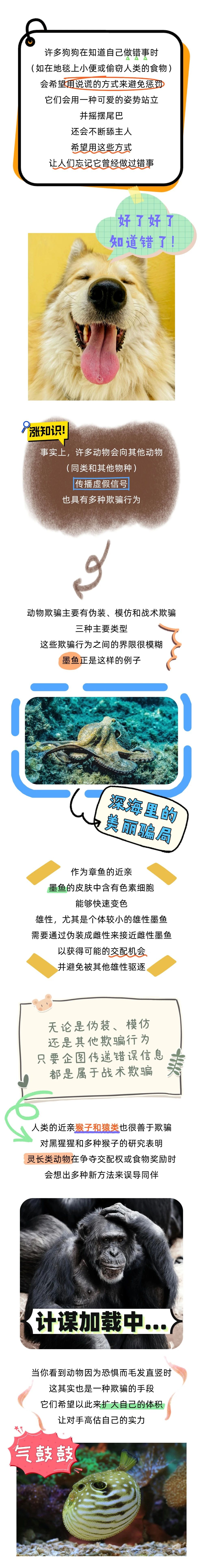 动物也会撒谎？它们的演技说不定比人类更逼真！