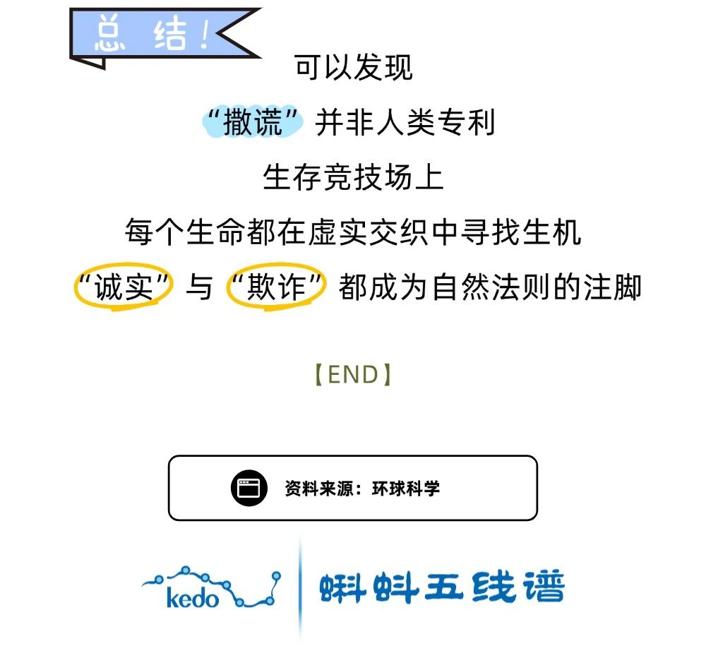 动物也会撒谎？它们的演技说不定比人类更逼真！