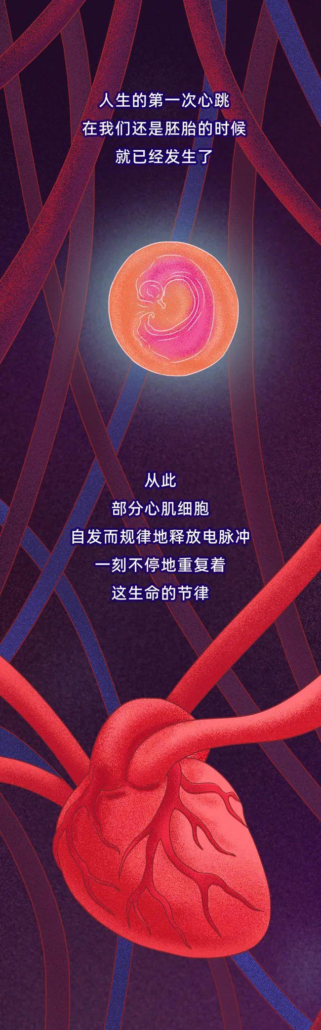 警惕！这些日常习惯正悄悄“杀死”你的心脏