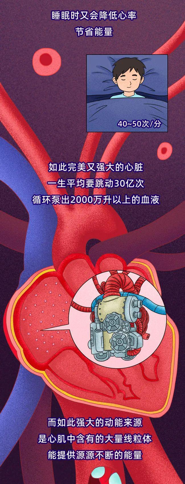 警惕！这些日常习惯正悄悄“杀死”你的心脏