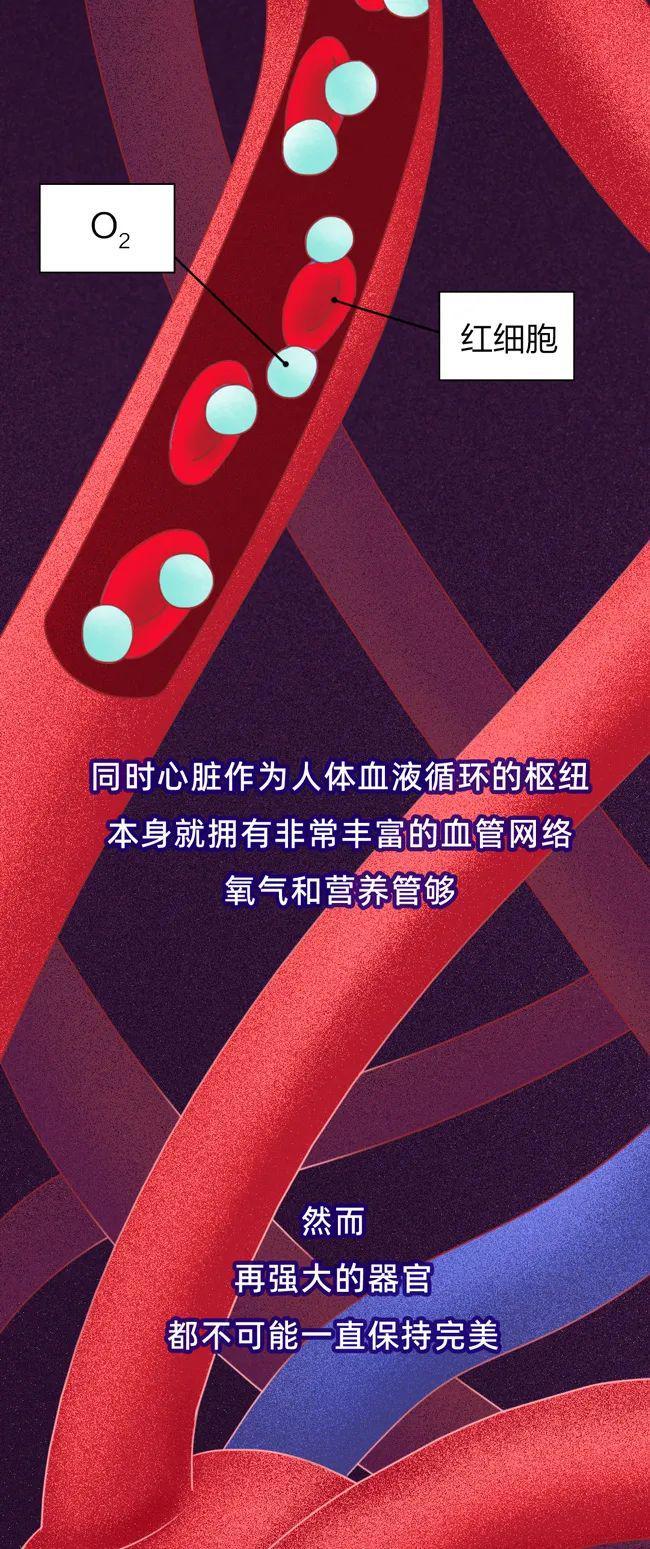 警惕！这些日常习惯正悄悄“杀死”你的心脏