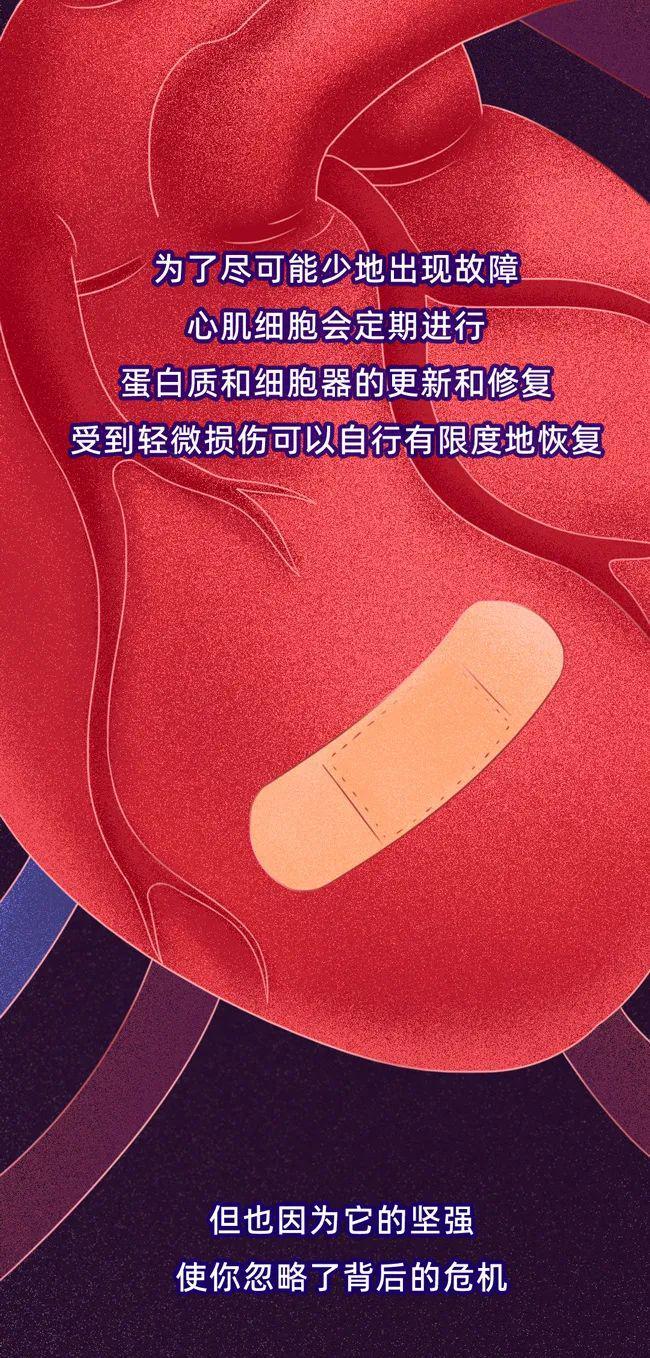 警惕！这些日常习惯正悄悄“杀死”你的心脏