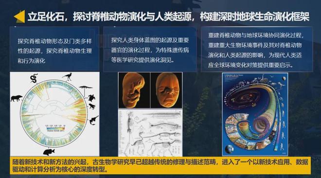 亿万年前生命如何“复活”？中国科研破解古生物密码
