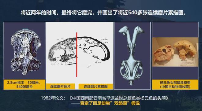 亿万年前生命如何“复活”？中国科研破解古生物密码