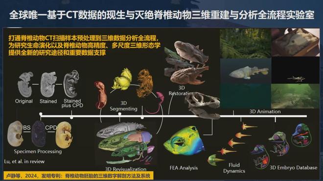 亿万年前生命如何“复活”？中国科研破解古生物密码