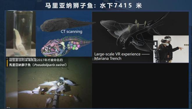亿万年前生命如何“复活”？中国科研破解古生物密码