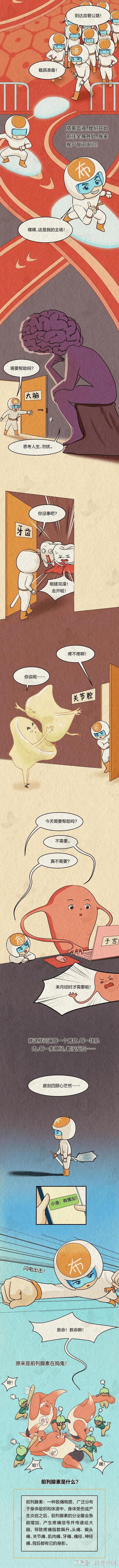 布洛芬如何精准“定位”身体疼痛？科学解析药物作用机制