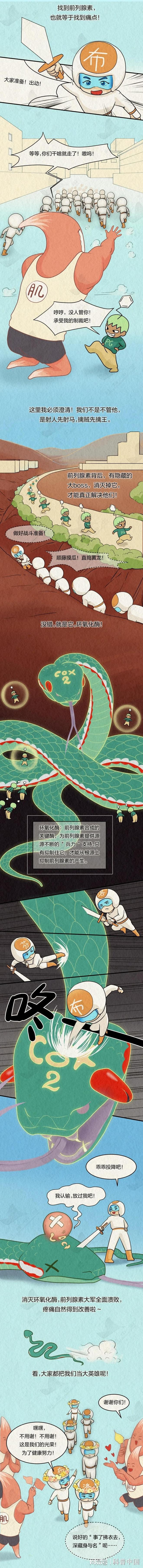 布洛芬如何精准“定位”身体疼痛？科学解析药物作用机制