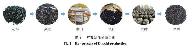 吹爆老祖宗的智慧！这种“怪味豆”美味有营养，错过亏大了