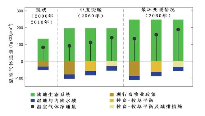 牦牛“排气”太猛，科学家出手！青藏高原减排新招引关注