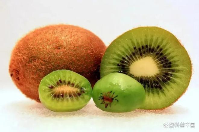 草莓、蓝莓、树莓……这些“莓”果，都是一家吗？