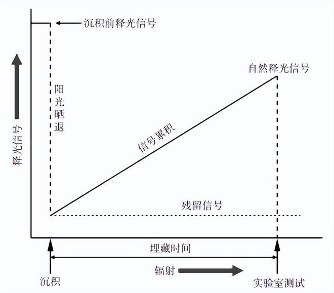 全球考古重大发现！中国出土30万年前东亚最早木器