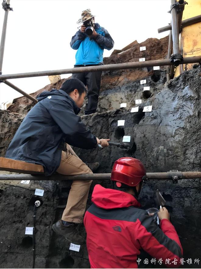全球考古重大发现！中国出土30万年前东亚最早木器
