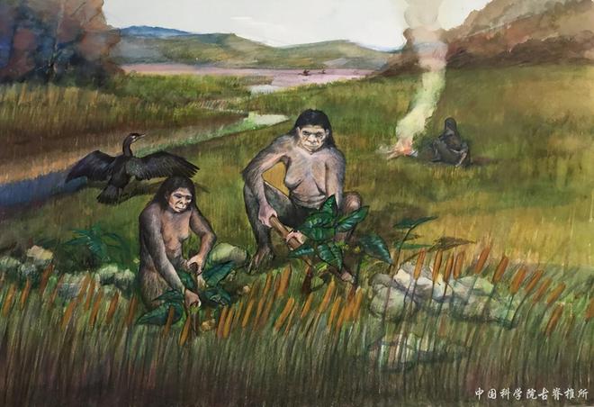 全球考古重大发现！中国出土30万年前东亚最早木器