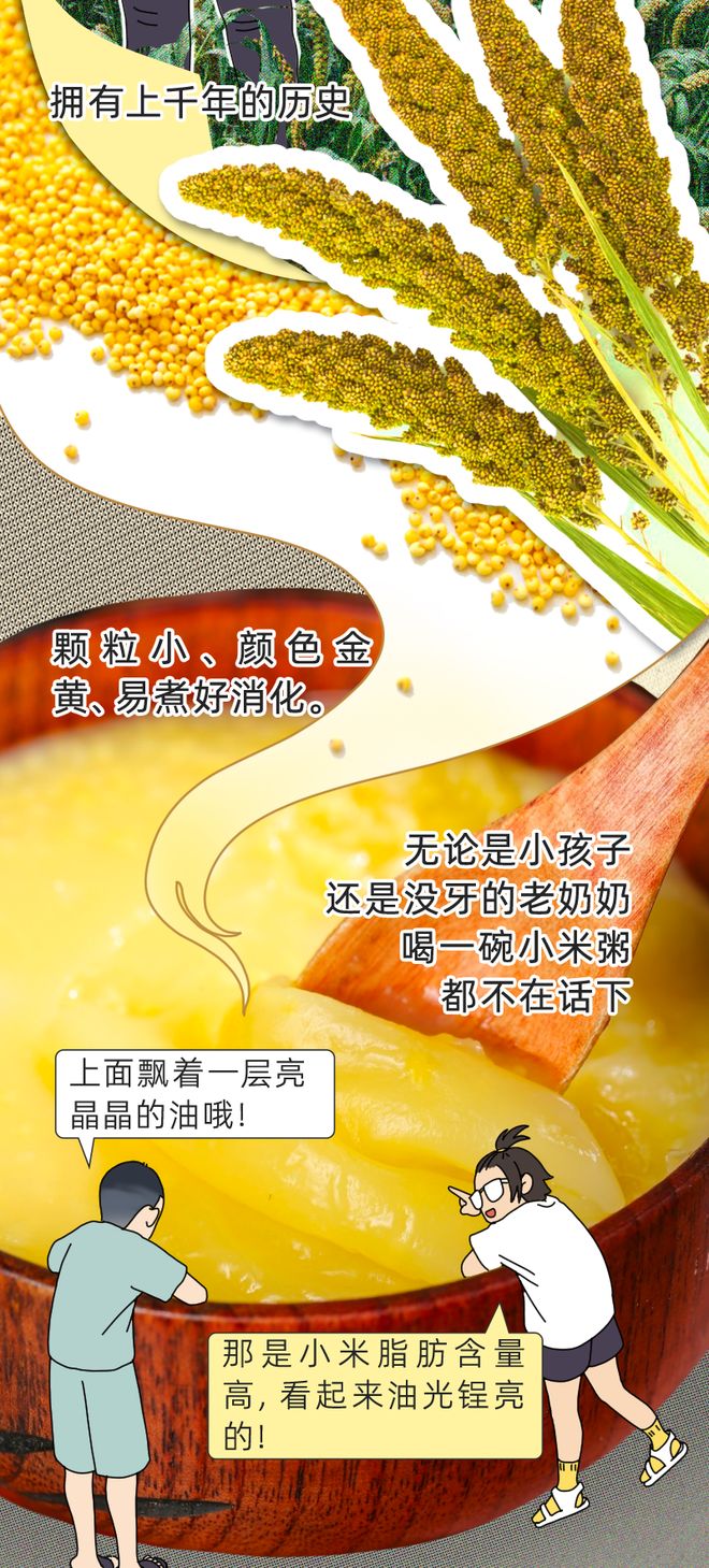 每天1碗小米粥，身体会发生这些变化？