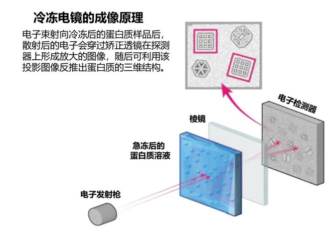 揭秘现实中的“冰系魔法师”：科学还原冰雪奇迹