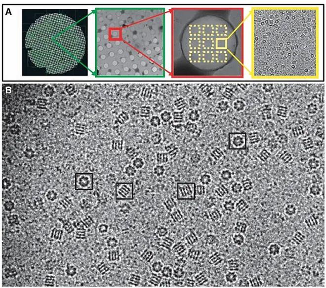 揭秘现实中的“冰系魔法师”：科学还原冰雪奇迹