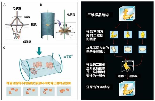 揭秘现实中的“冰系魔法师”：科学还原冰雪奇迹