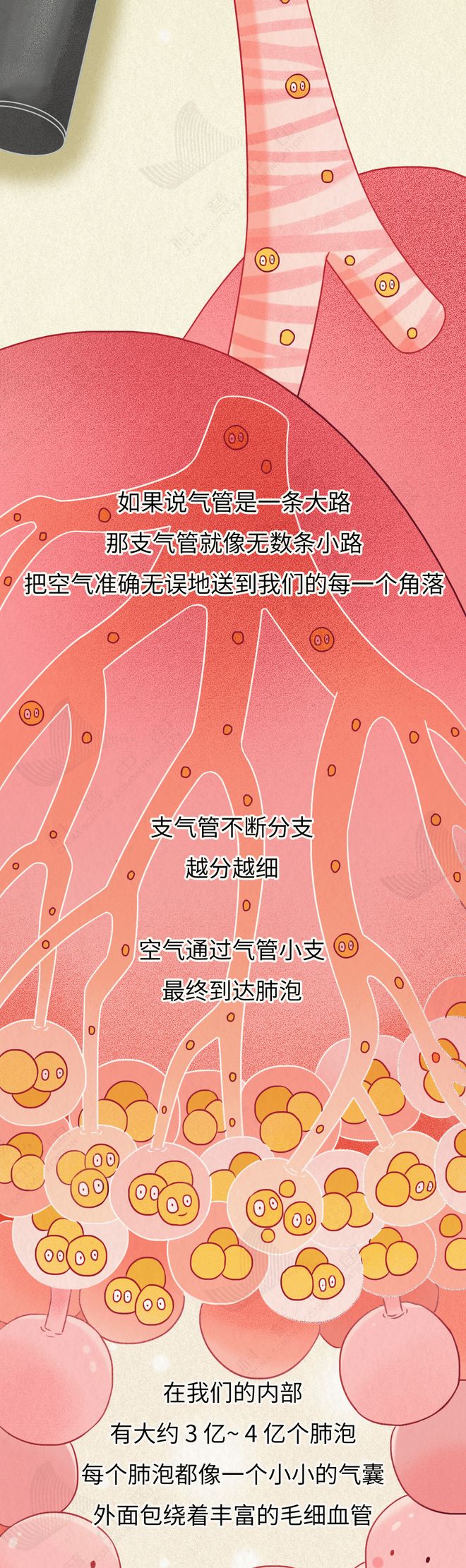 近1亿中国人肺部危机！多数人忽视的致命真相