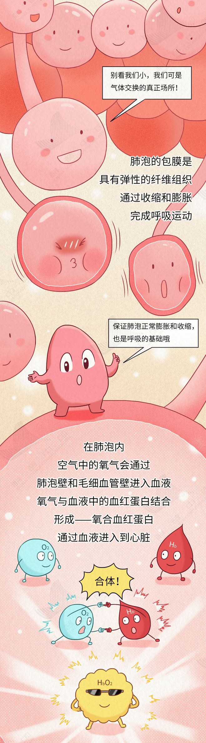 近1亿中国人肺部危机！多数人忽视的致命真相