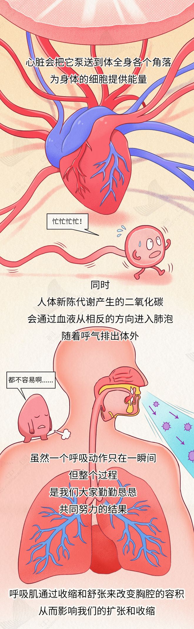 近1亿中国人肺部危机！多数人忽视的致命真相