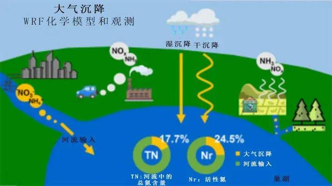 气候变化影响植物物候，枫叶红得更晚银杏落叶推迟