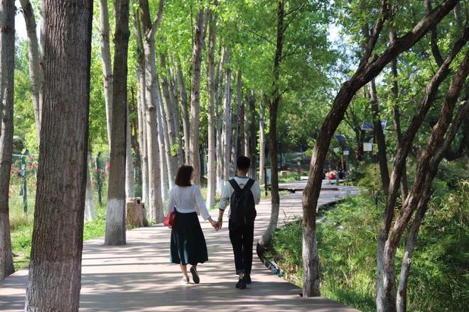 情侣夫妻多做这件事，感情更亲密