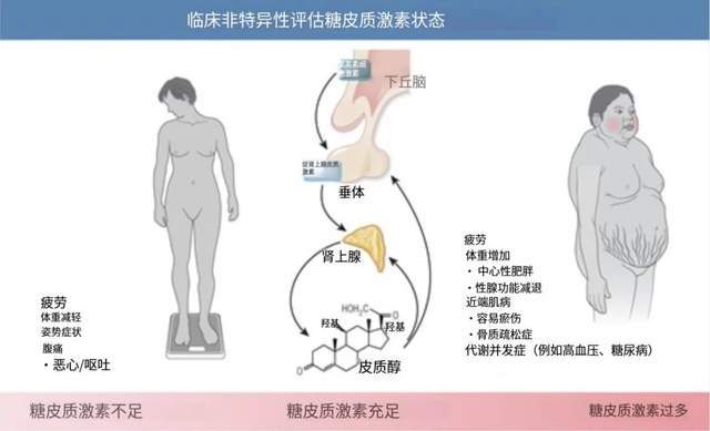 这个常见习惯让你悄悄变胖，很多人却浑然不知