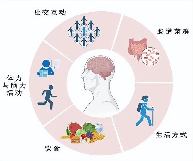 新研究揭示：7类食物为核心的饮食模式可预防痴呆