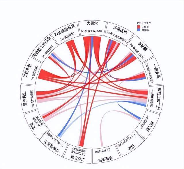 小小蚂蚁总重量竟是全球人类体重的五分之一