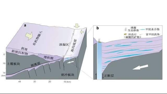 “奋斗者”号深潜9533米，发现2500公里生命绿洲