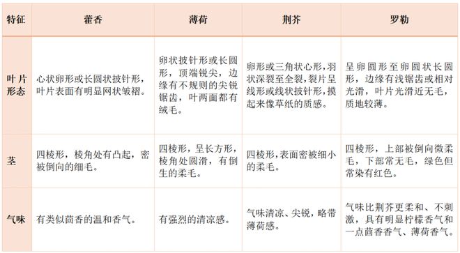 这菜炖鱼煮粥巨香！促排便还比胡萝卜护眼，当调料太可惜！