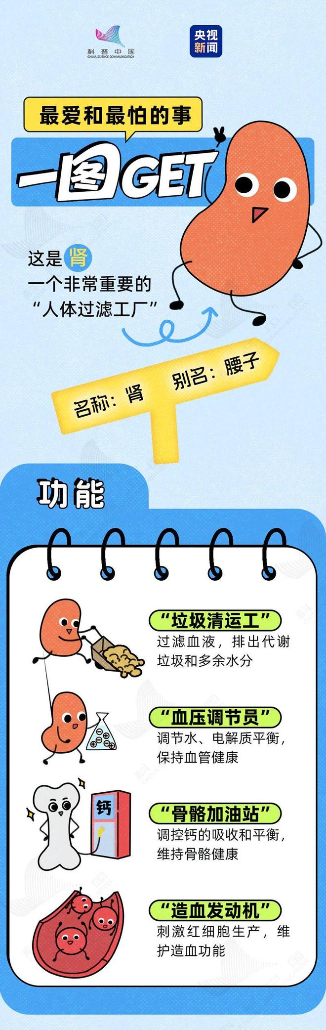 透支的肾，是补不回来的！这6种伤肾行为，快停下