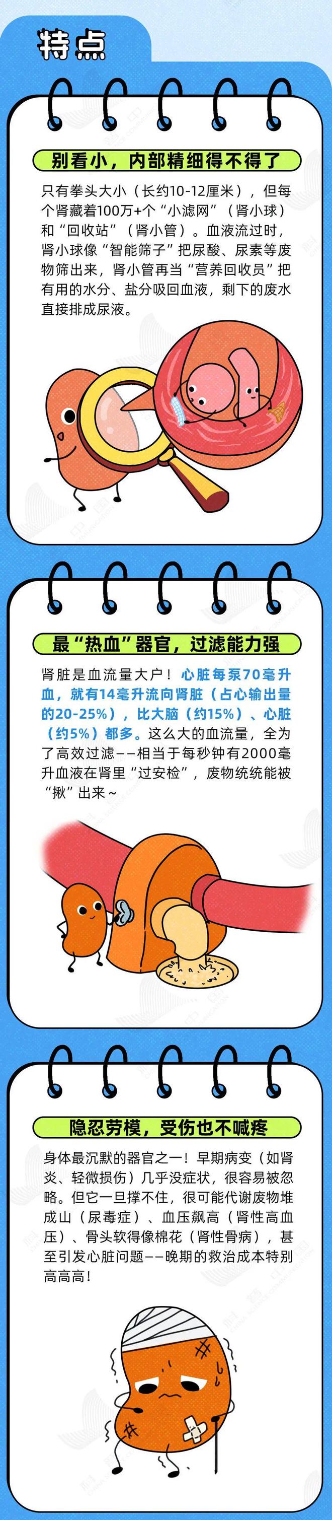 透支的肾，是补不回来的！这6种伤肾行为，快停下
