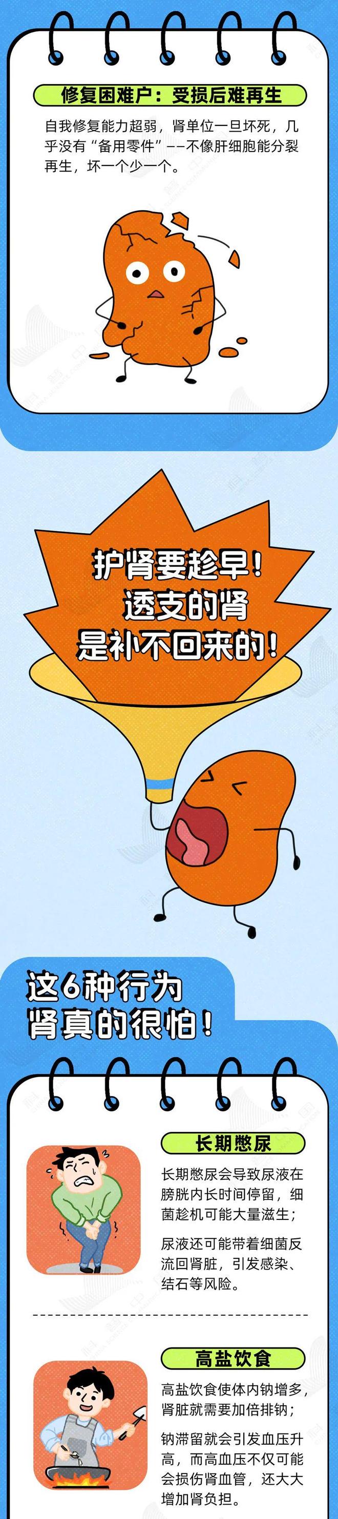 透支的肾，是补不回来的！这6种伤肾行为，快停下