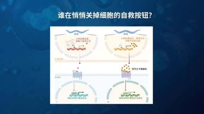 直播预告 | 科学+健康+心理！青少年成长指南速看
