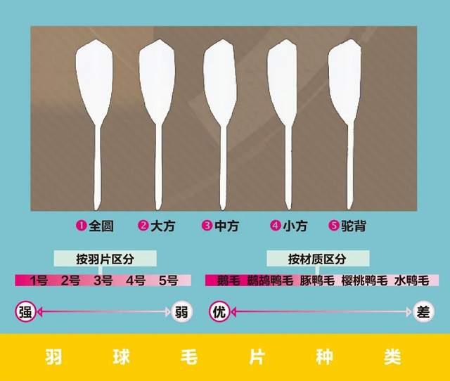 月薪过万打不起羽毛球，竟是猪肉价飙升惹的祸？