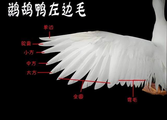 月薪过万打不起羽毛球，竟是猪肉价飙升惹的祸？
