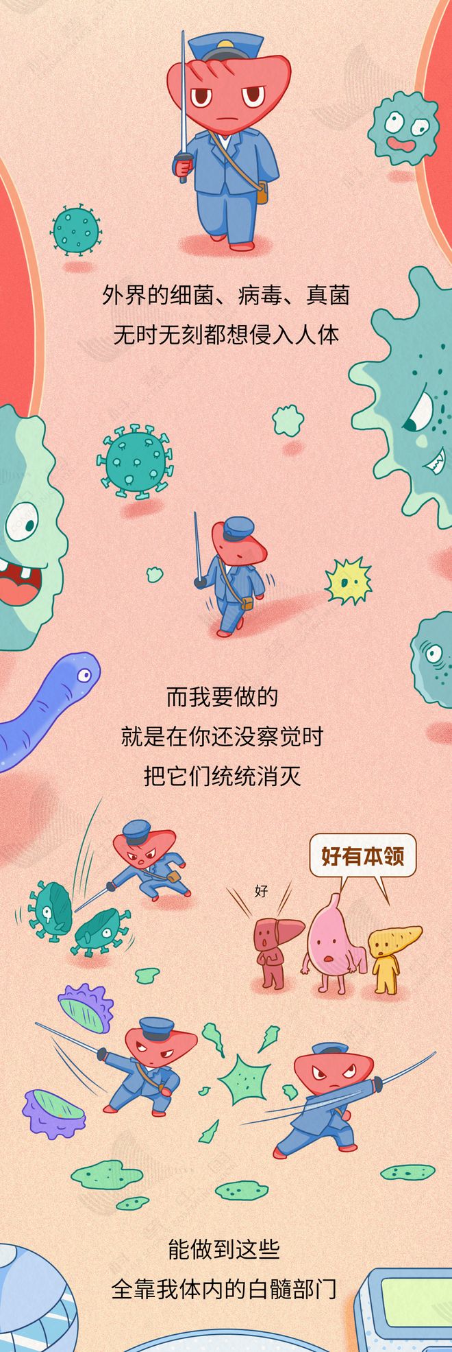 身体最大淋巴器官竟有致命弱点，你不可不知的健康真相