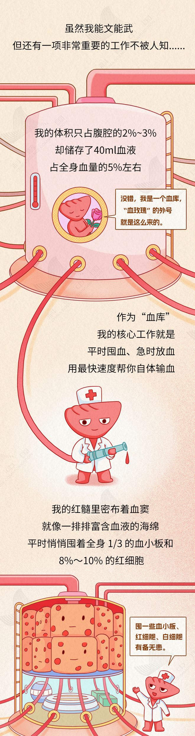 身体最大淋巴器官竟有致命弱点，你不可不知的健康真相