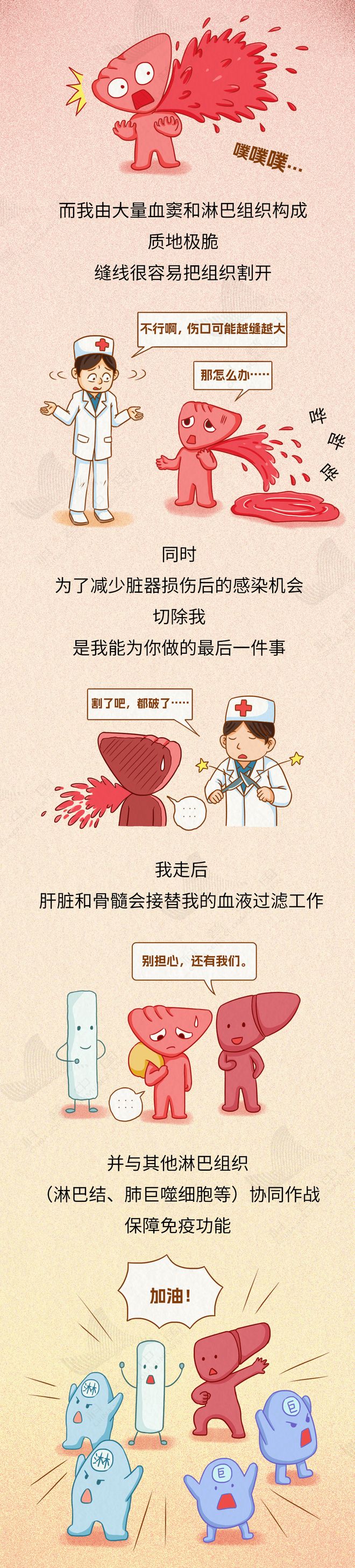 身体最大淋巴器官竟有致命弱点，你不可不知的健康真相