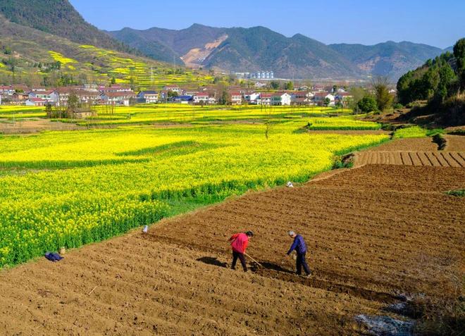 热播剧《生万物》“试春气”引热议，立春鸡毛真的会飞？