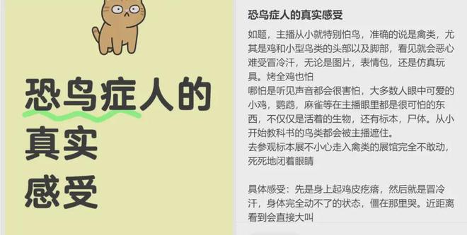 “我真的真的很怕鸡”！禽类恐惧症到底多真实？