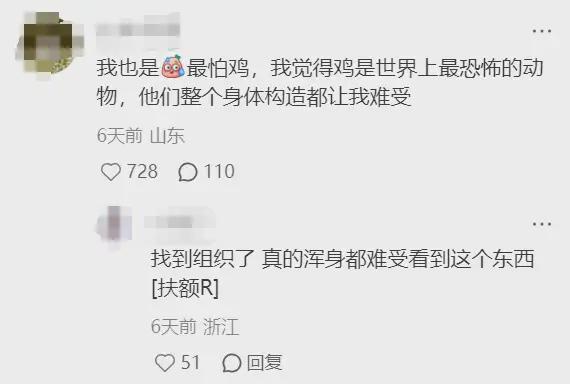 “我真的真的很怕鸡”！禽类恐惧症到底多真实？